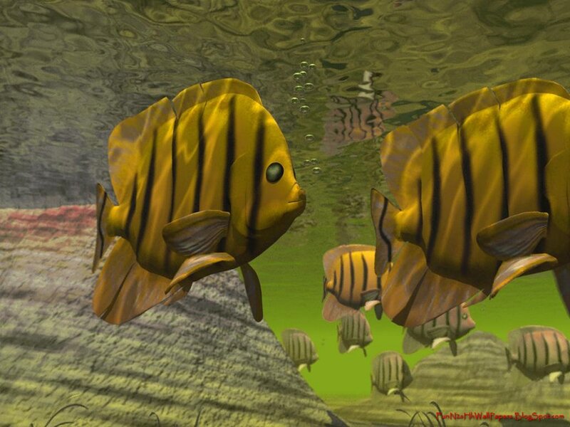 Yellow Striped Fish — Calm