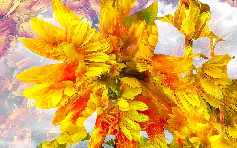 Yellow Sunflowers