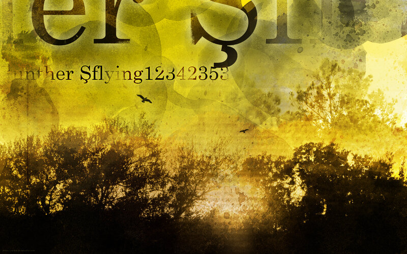 yellow sunset forest scene