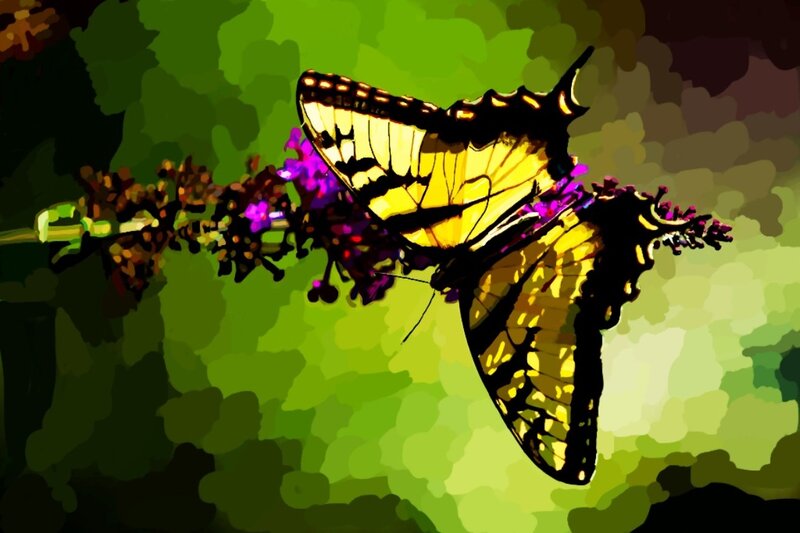 Yellow Swallowtail Butterfly — Calm, Digital Art