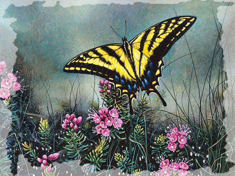 Yellow Swallowtail Butterfly — Serene, Spring, Illustration