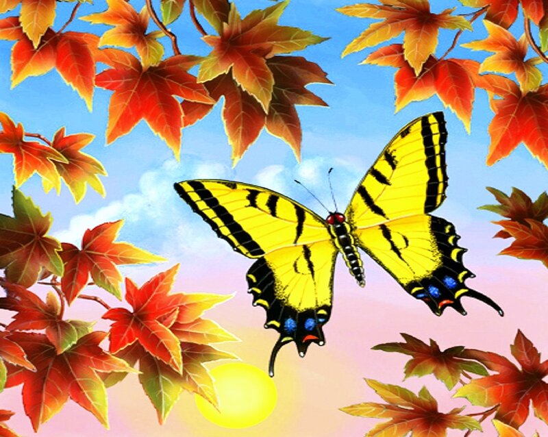 Yellow Swallowtail Butterfly — Serene, Sunset