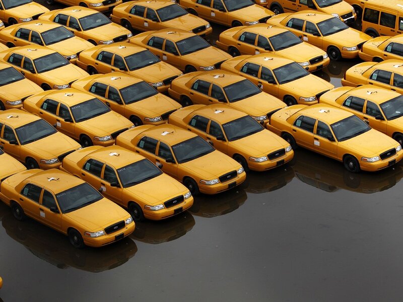 Yellow taxis parked in rows