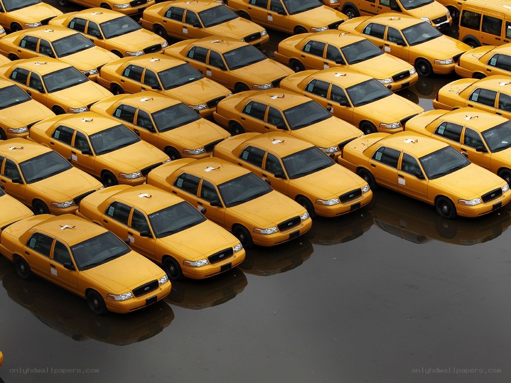 Yellow taxis parked in rows
