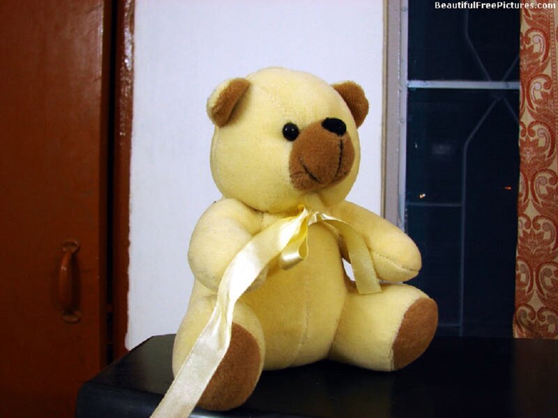 Yellow Teddy Bear — Calm, Night