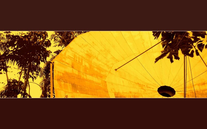 Yellow tent under trees
