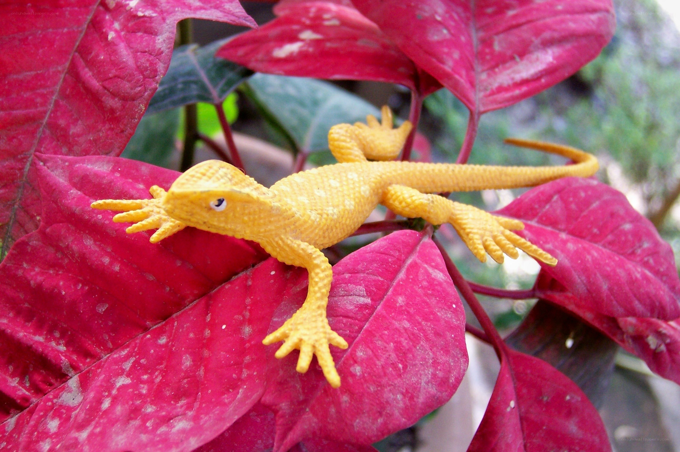 Yellow toy lizard on red leaves