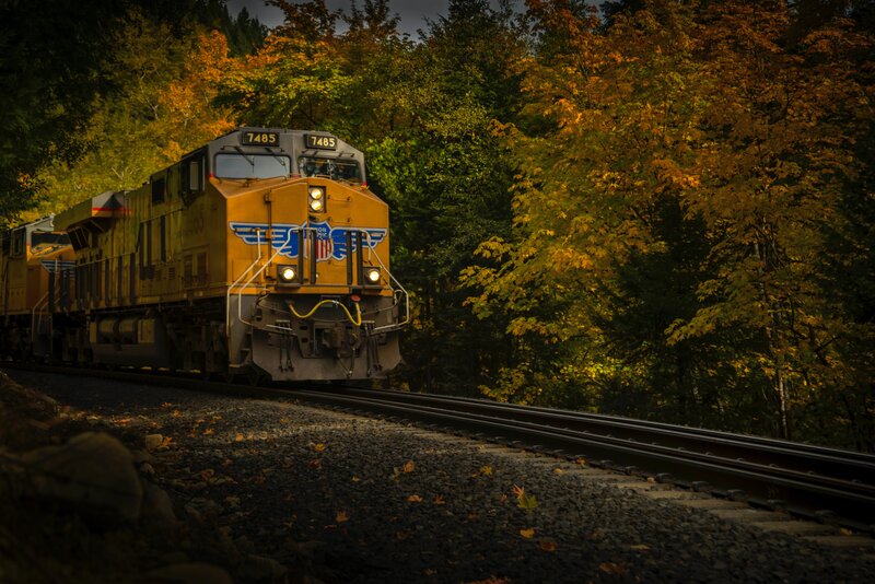 Yellow Train in Forest