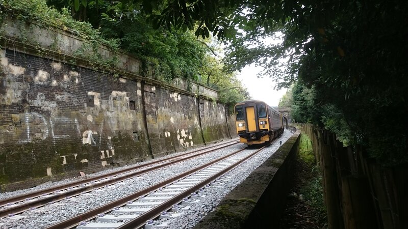 Yellow Train on Tracks — Green, Natural