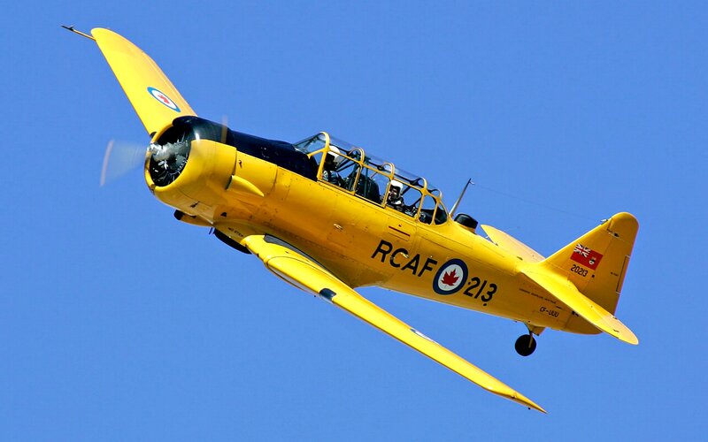 Yellow Training Aircraft — Dynamic