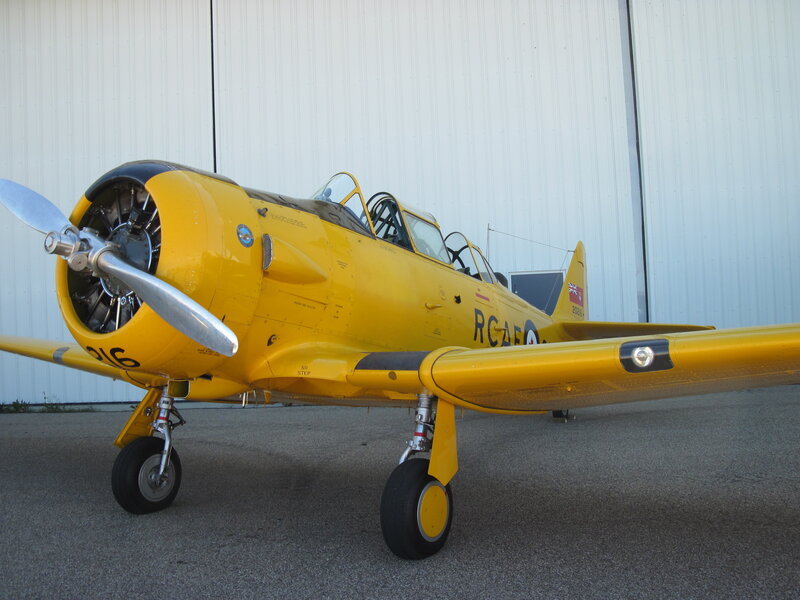 Yellow Training Aircraft — Neutral