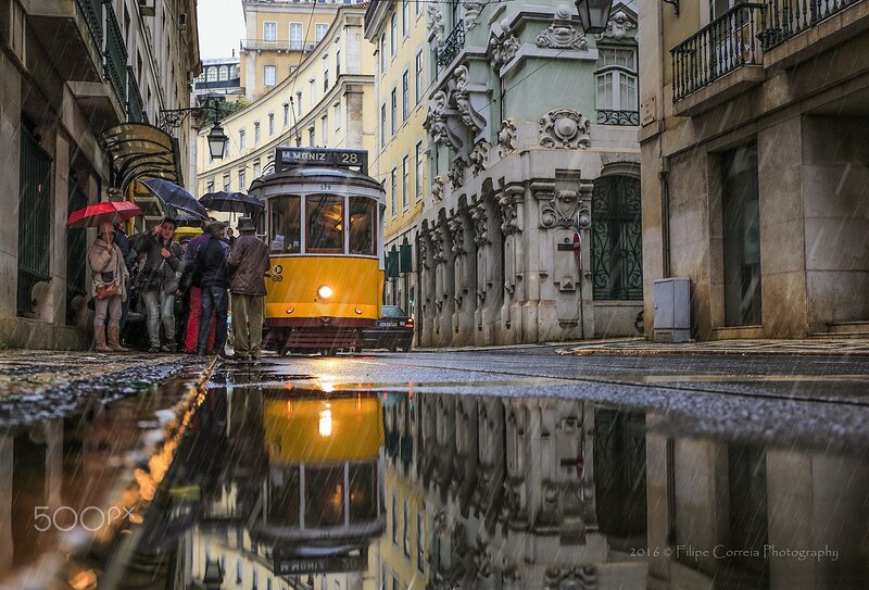 Yellow Tram in Rain