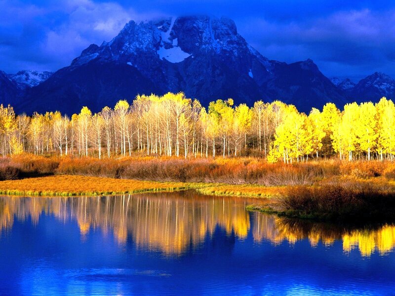 Yellow Trees by Lake — Blue, Dramatic