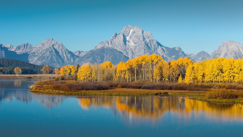 Yellow Trees by Lake — Blue, Serene