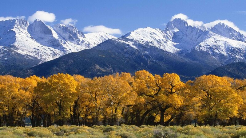 Yellow Trees in Front of Mountains