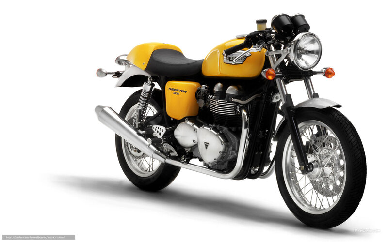 Yellow Triumph Thruxton 900