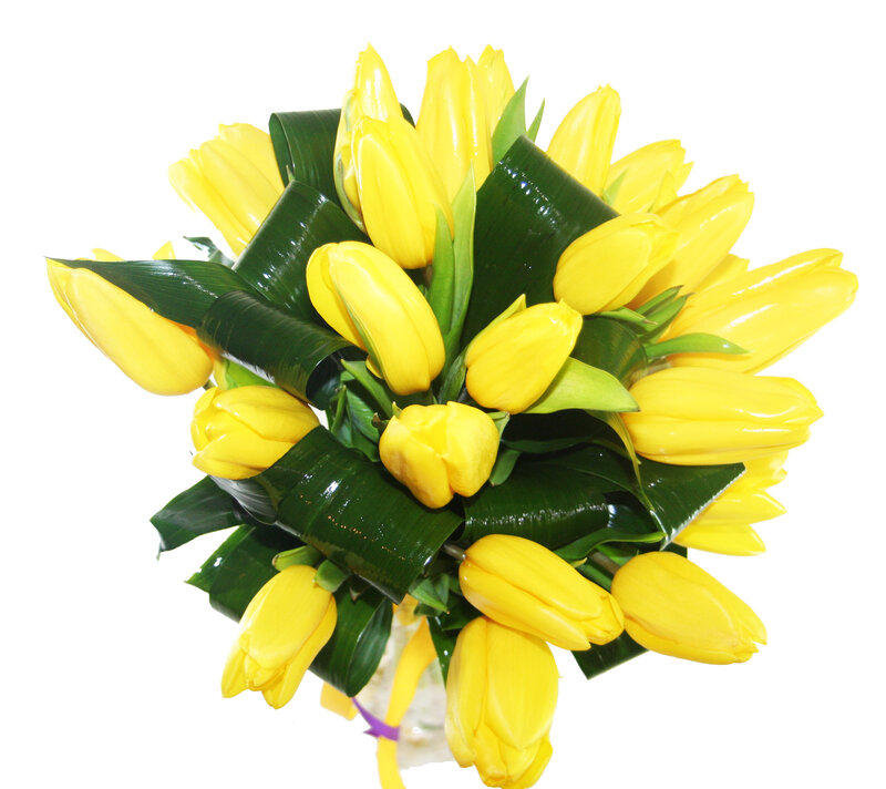 Yellow Tulip Bouquet — Bright, Photograph