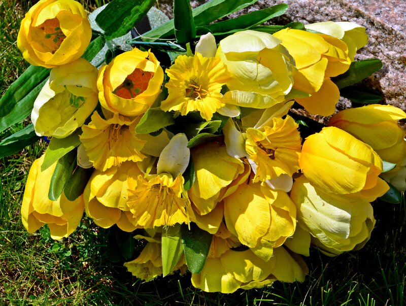 Yellow Tulip Bouquet — Calm, Afternoon
