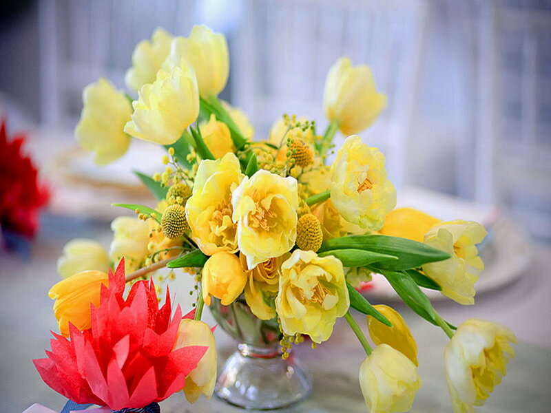 Yellow Tulip Bouquet — Calm, Spring