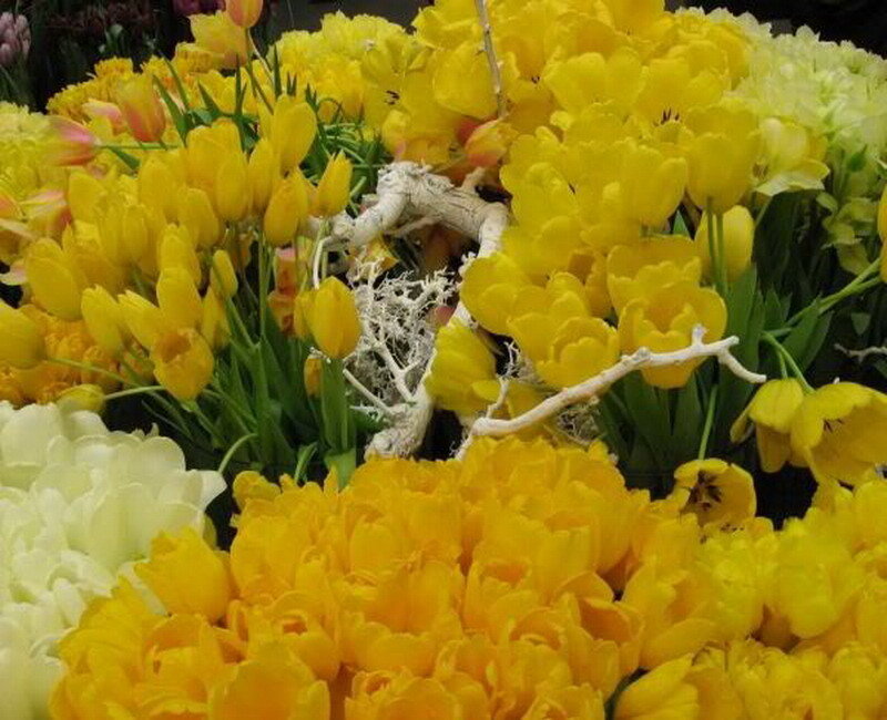 Yellow Tulip Bouquet — Vibrant