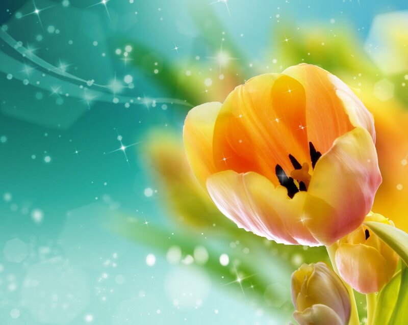 Yellow Tulip Flower — Bright, Spring, Digital Art