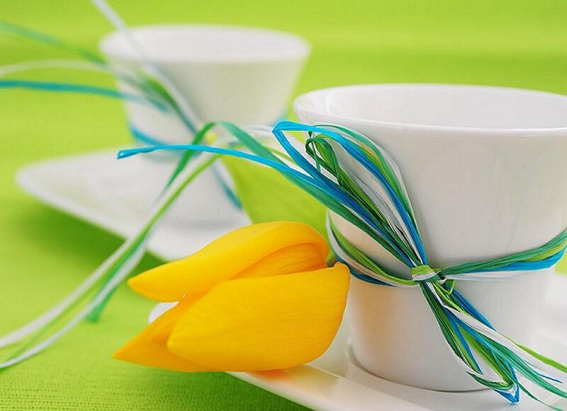 Yellow Tulip with Cups
