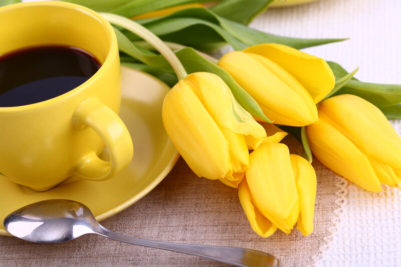 Yellow Tulips and Coffee Cup