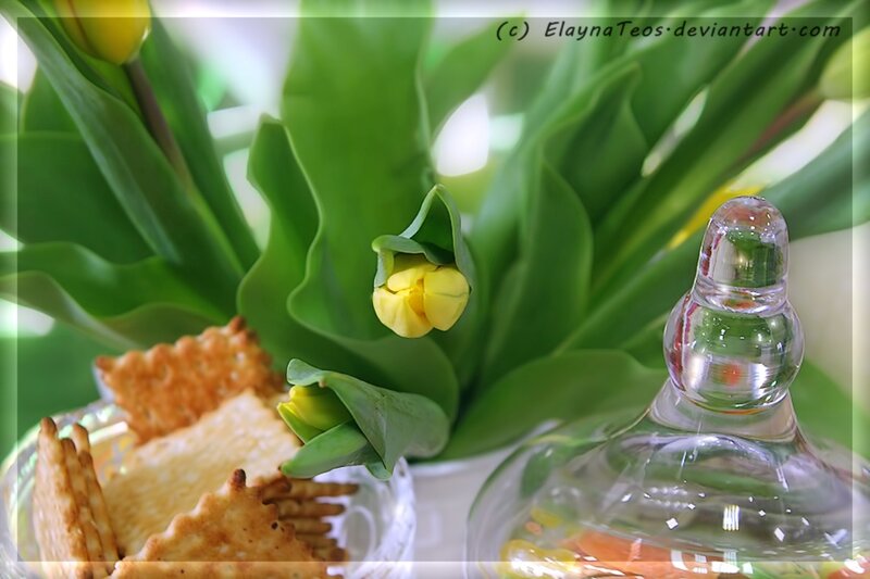 Yellow Tulips and Crackers