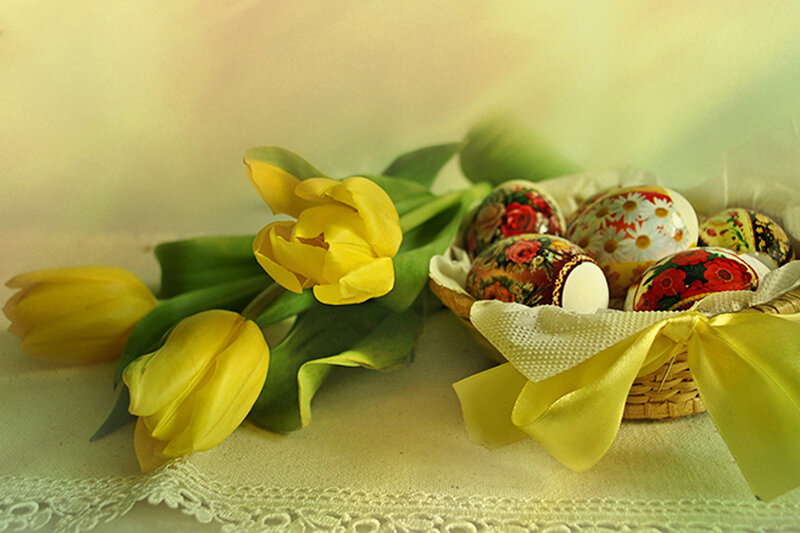 Yellow Tulips and Eggs — Serene