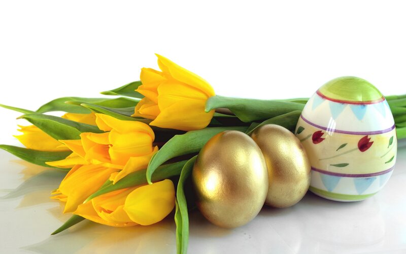 Yellow Tulips and Eggs