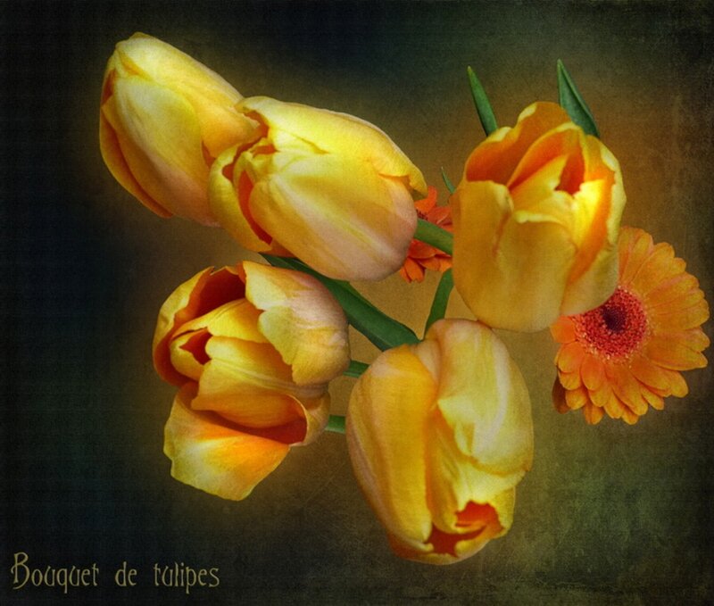 Yellow Tulips and Gerbera