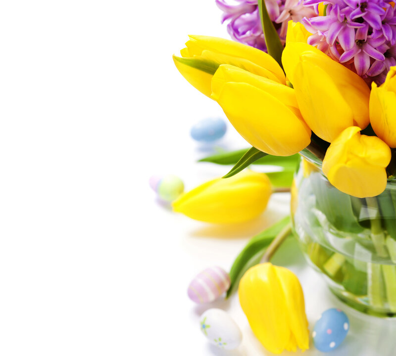 Yellow Tulips and Hyacinths — Festive