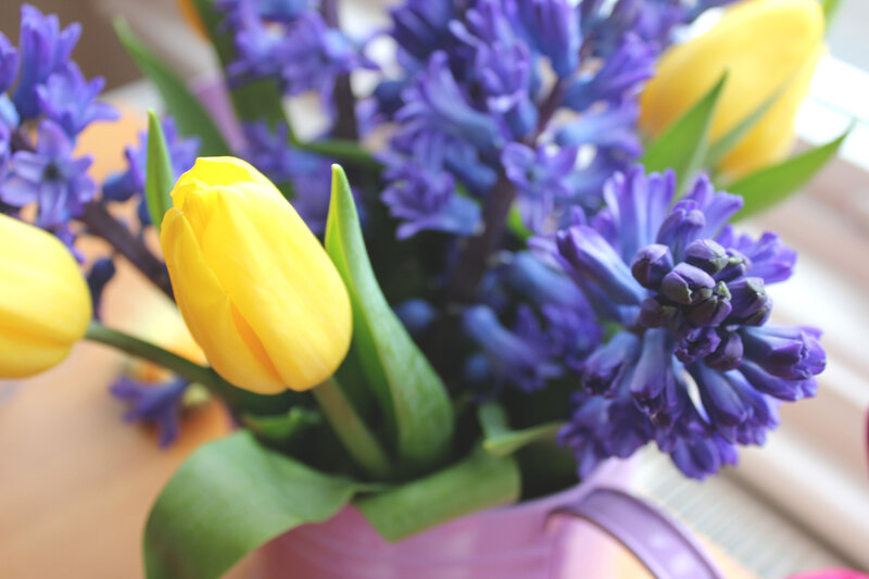 Yellow Tulips and Hyacinths