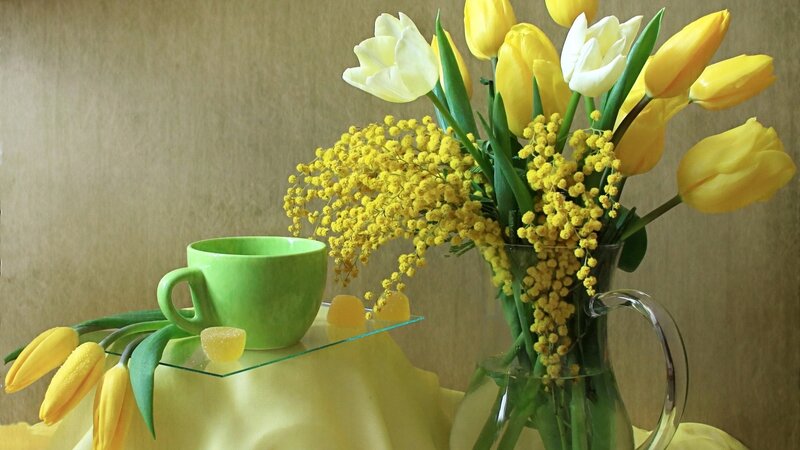 Yellow Tulips and Mimosa — Calm, Spring, Photograph