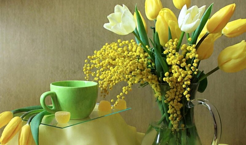 Yellow Tulips and Mimosa — Calm, Spring