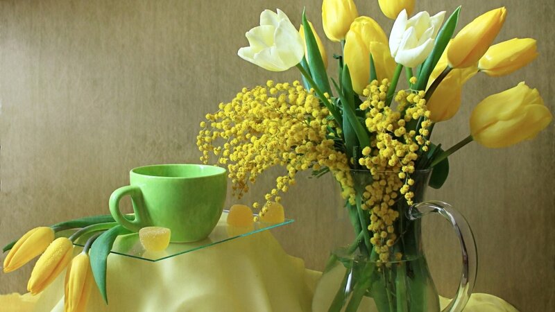 Yellow Tulips and Mimosa — Calm