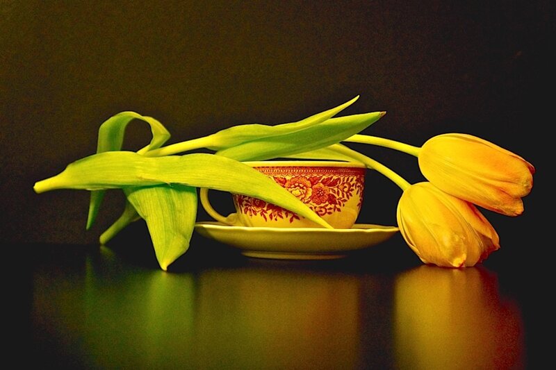 Yellow Tulips and Teacup