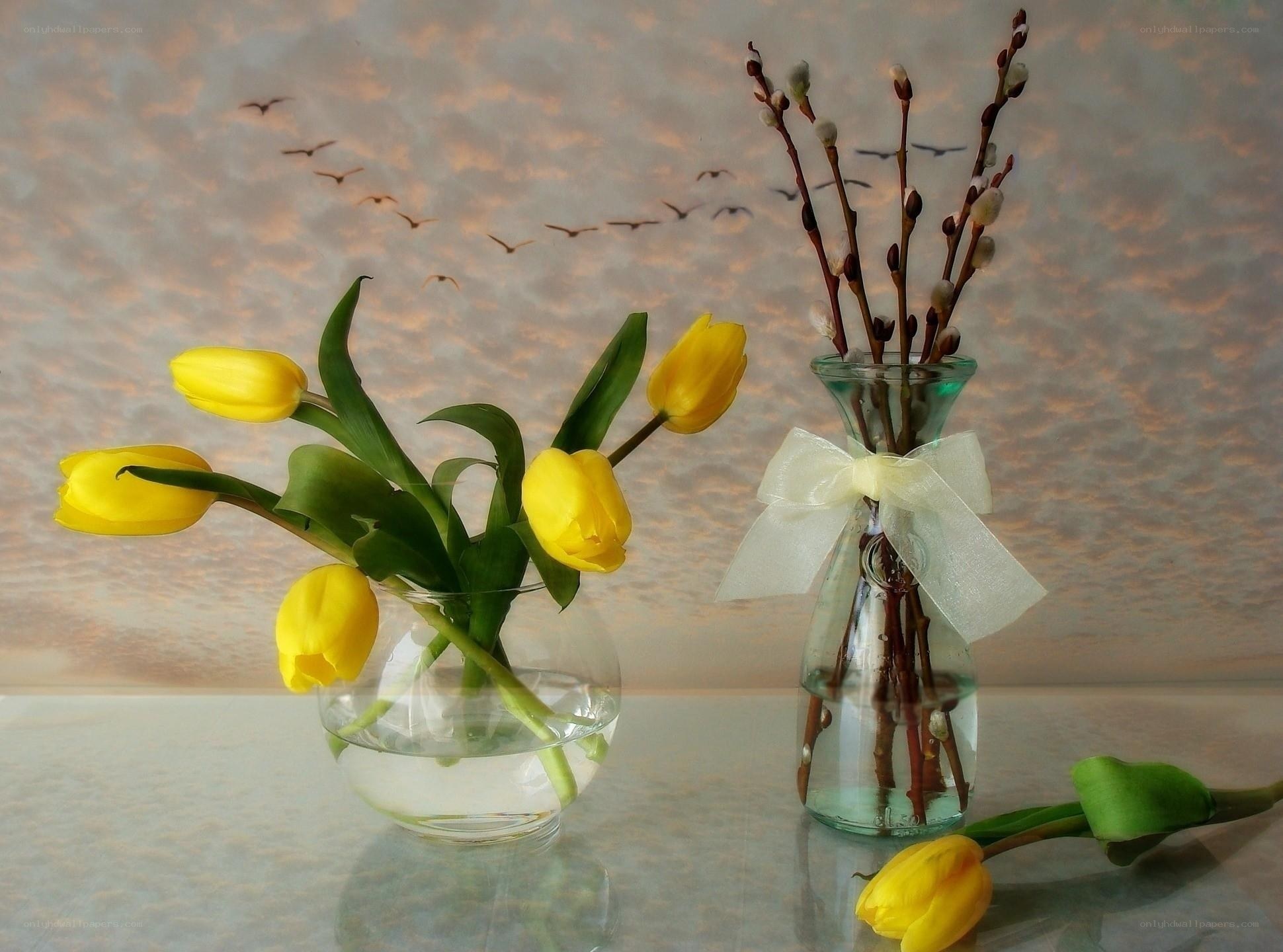 Yellow tulips and willow branches