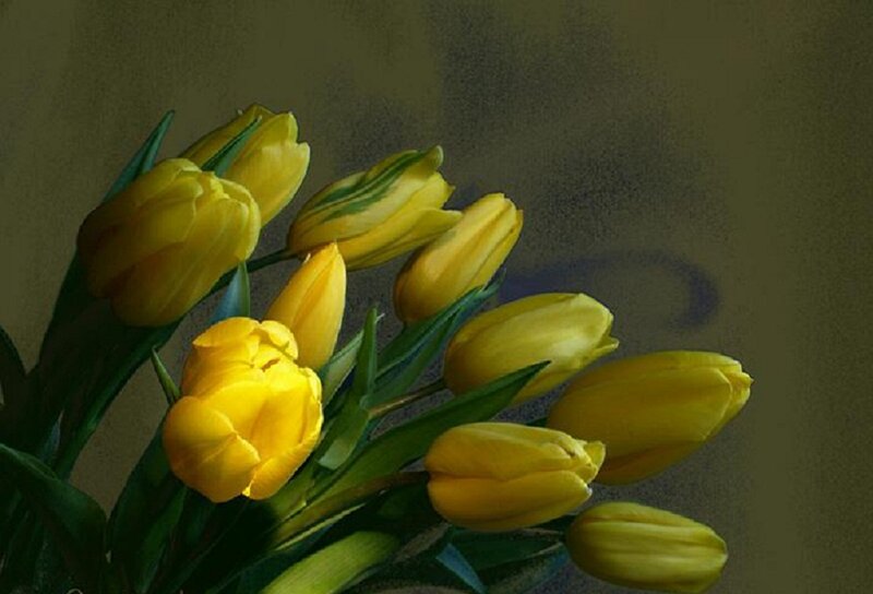 Yellow Tulips Bouquet — Calm, Photograph, Green Leaves