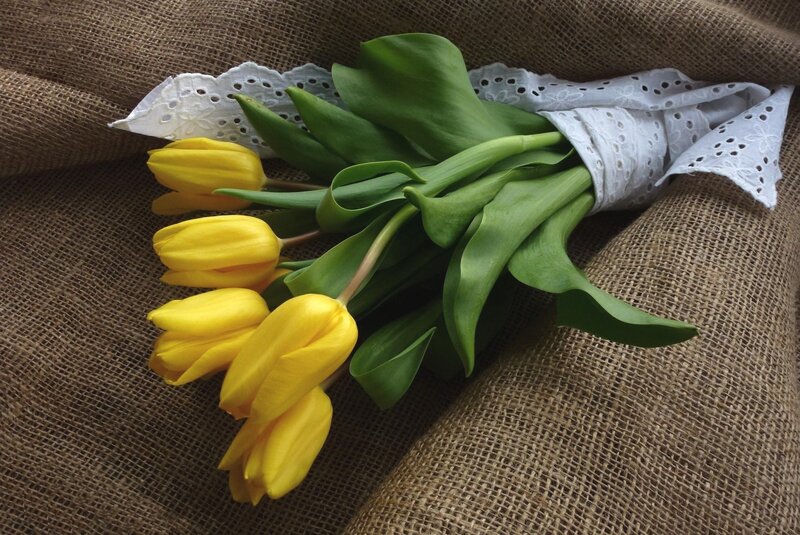 Yellow Tulips Bouquet — Calm, Spring