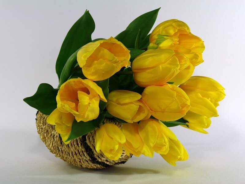 yellow tulips in a basket