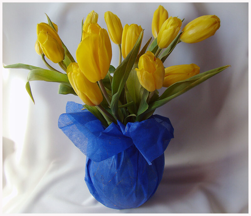 Yellow tulips in a blue vase