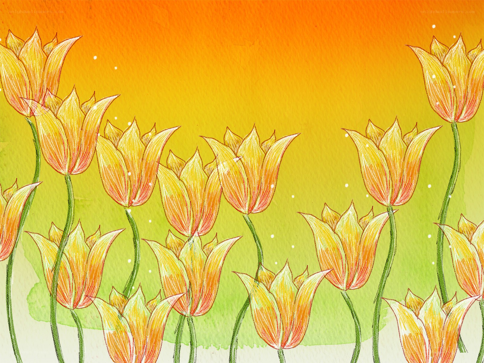 Yellow tulips in a field