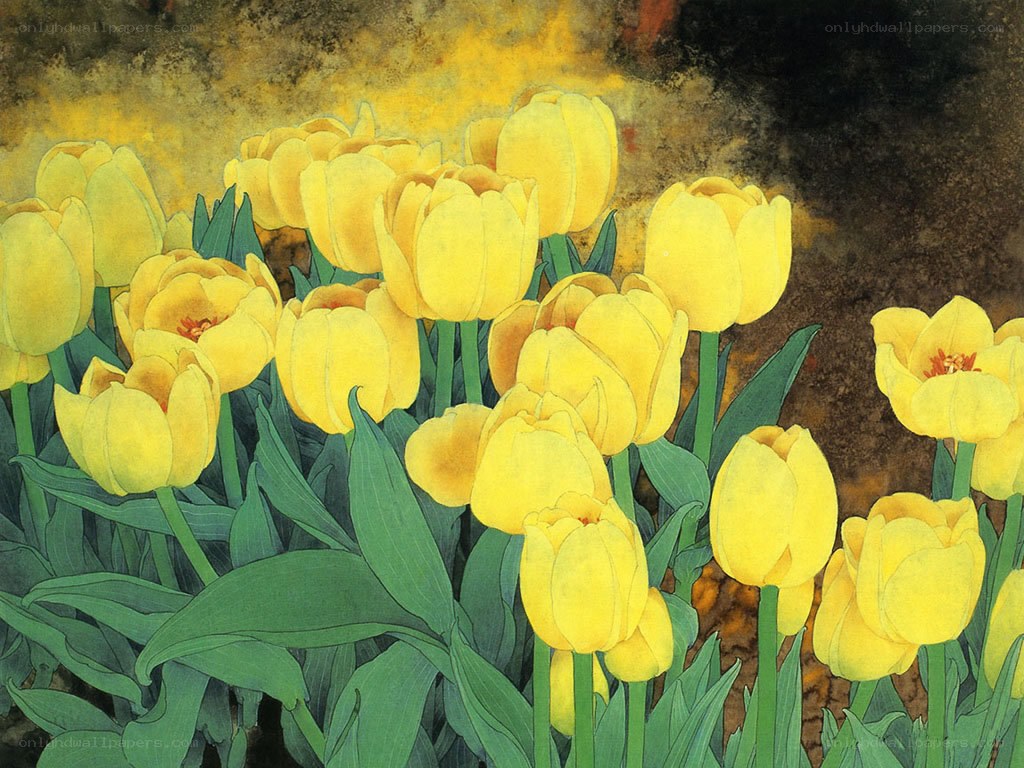 Yellow tulips in a garden