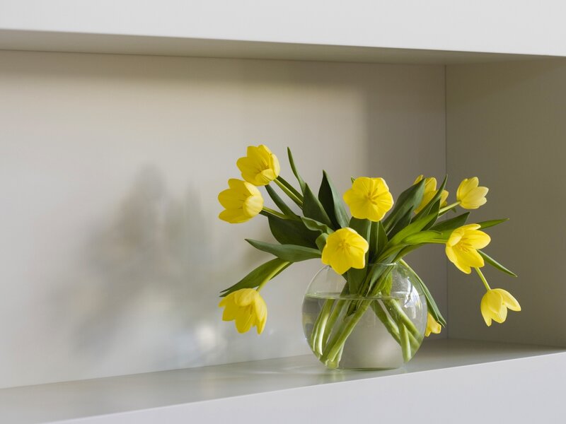 Yellow tulips in a glass vase