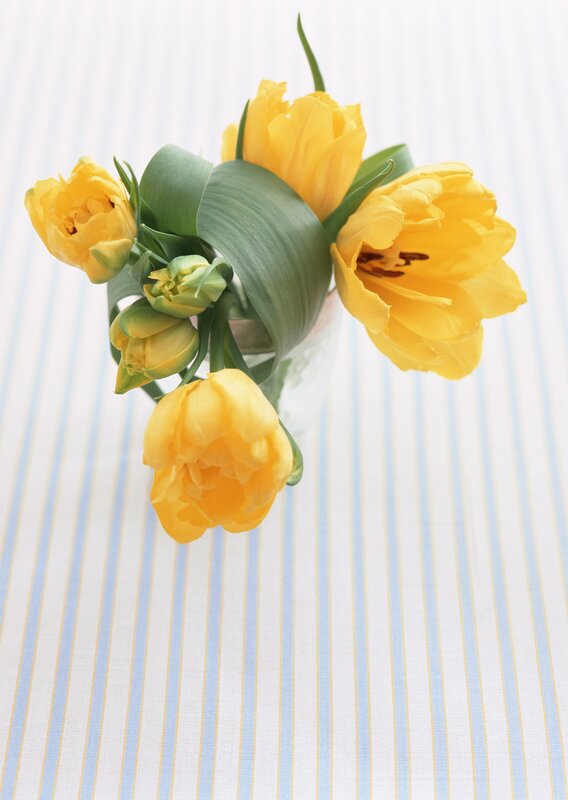 Yellow tulips in a vase