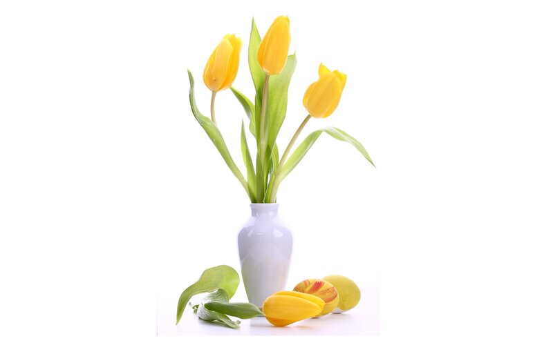 Yellow tulips in a vase
