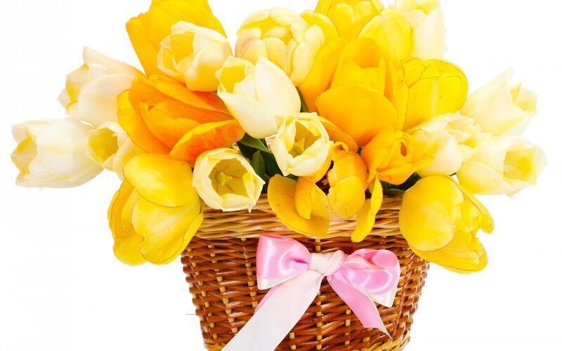Yellow Tulips in Basket — Bright, Photograph, Bow