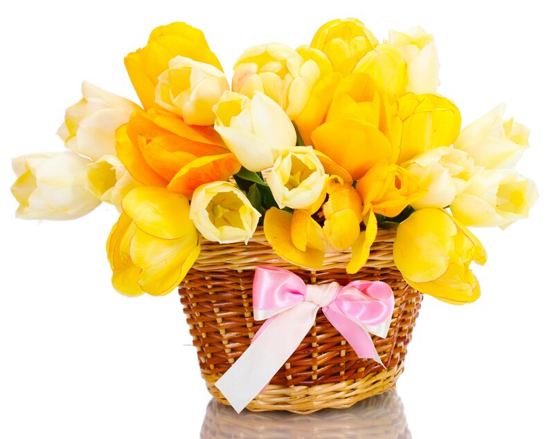 Yellow Tulips in Basket — Bright, Spring, Photograph