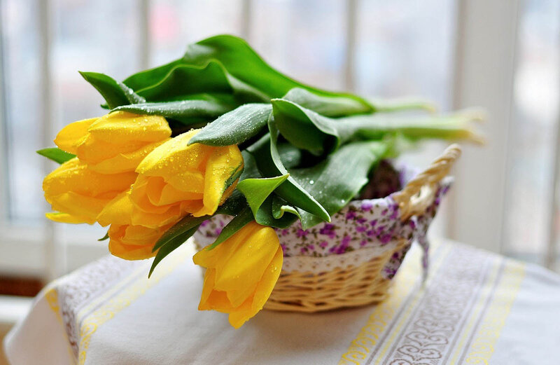 Yellow Tulips in Basket — Calm, Morning
